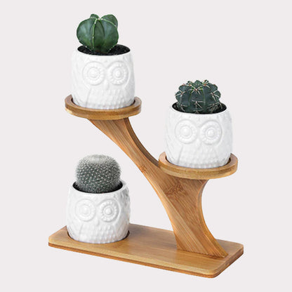 Pots & Bamboo Shelf