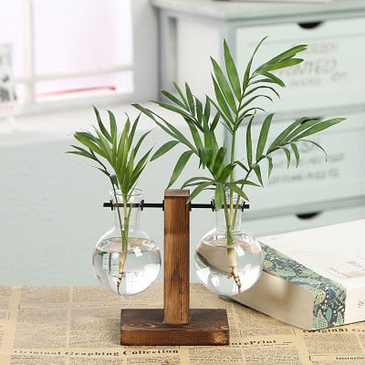 Hydroponic  Plant Vases