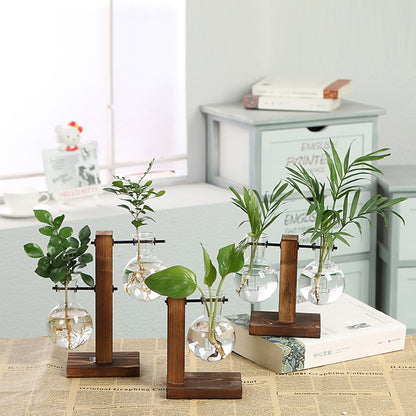 Hydroponic  Plant Vases