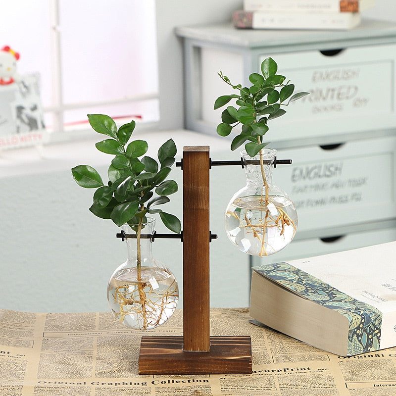 Hydroponic  Plant Vases