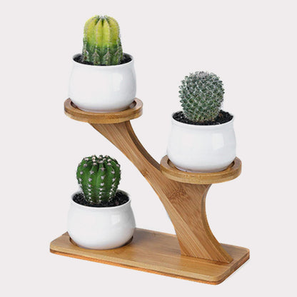 Pots & Bamboo Shelf