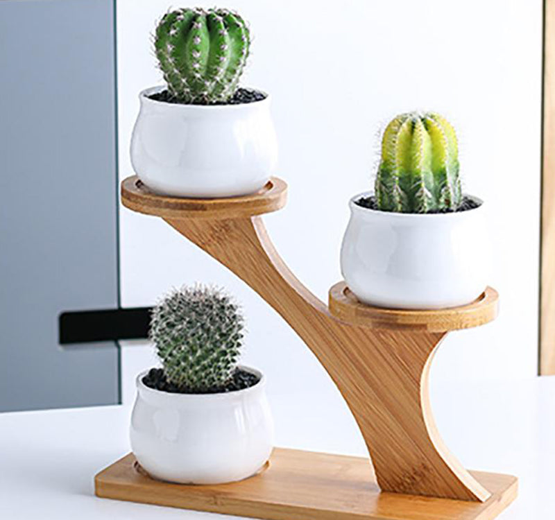 Pots & Bamboo Shelf