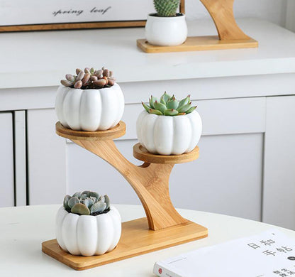 Pots & Bamboo Shelf