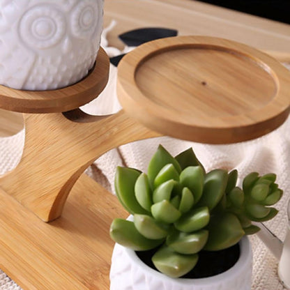 Pots & Bamboo Shelf