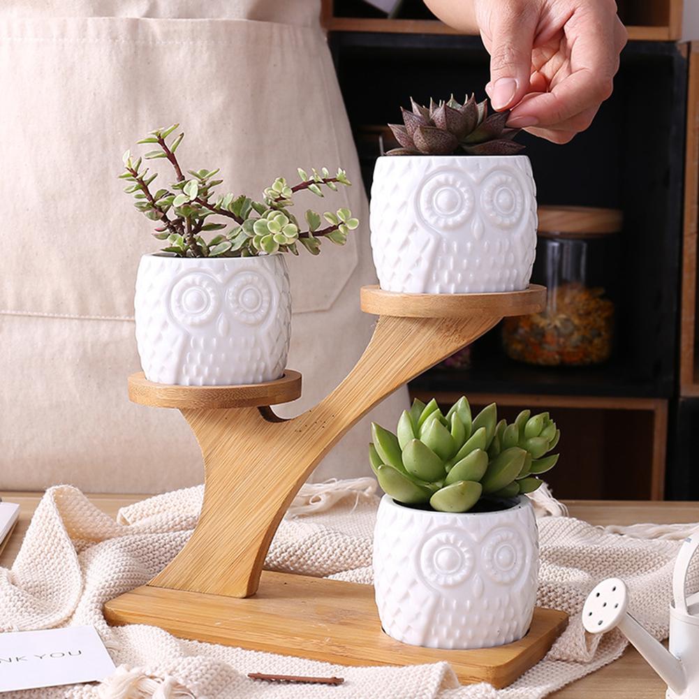 Pots & Bamboo Shelf